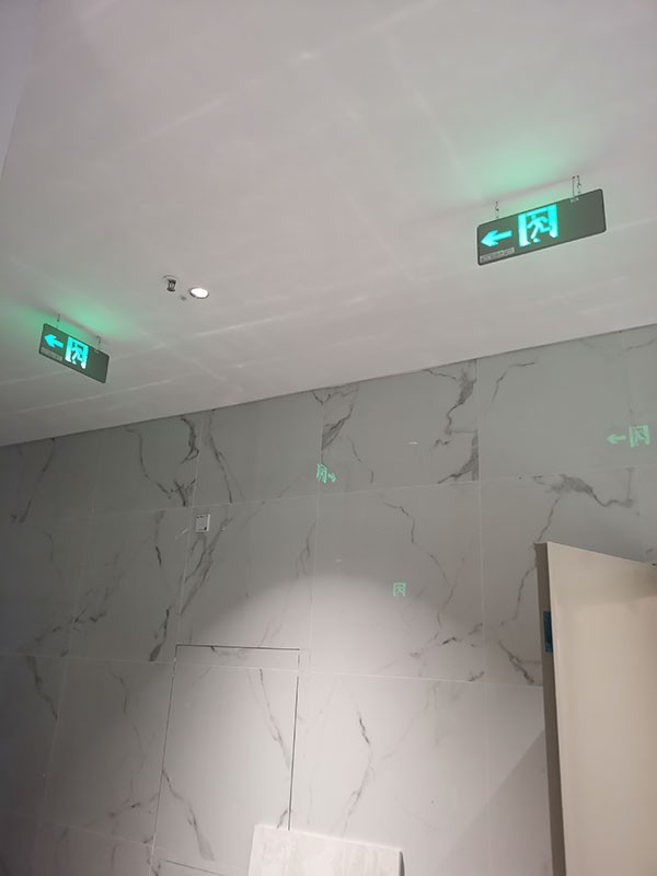 智能疏散照明系統是否具備智能照明優先級設置功能？